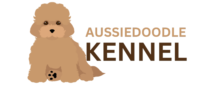 Aussiedoodle Kennel